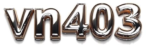 vn403 logo